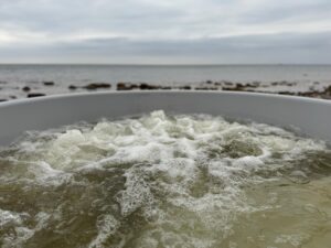 Ūdens noteka ar lodveida krānu stiklašķiedras kublam